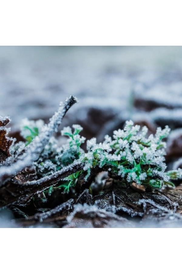 La Nature en hiver – Balade nature à la Plage Bleue