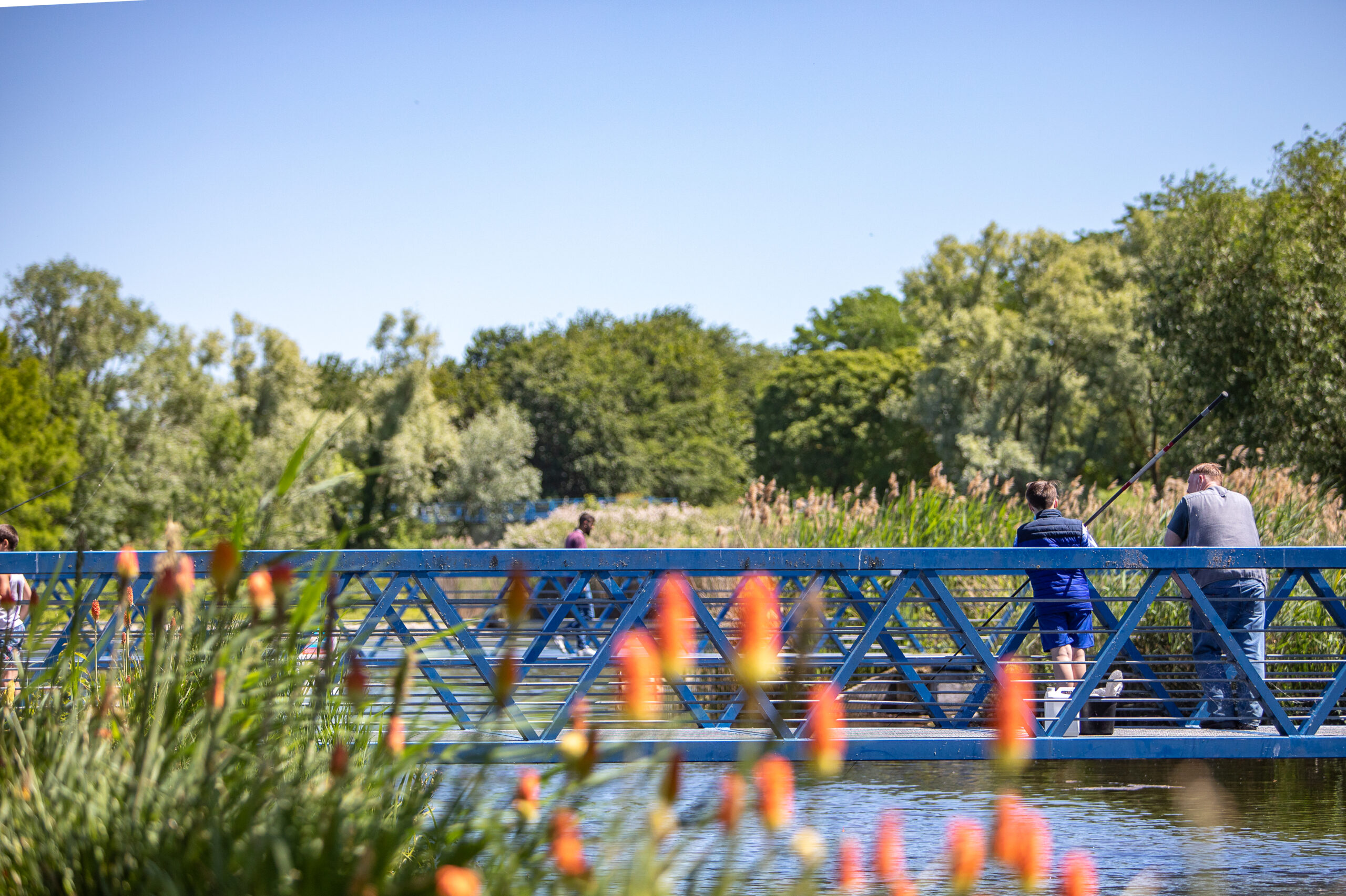 Balade sensorielle : la nature en ville pour tous !