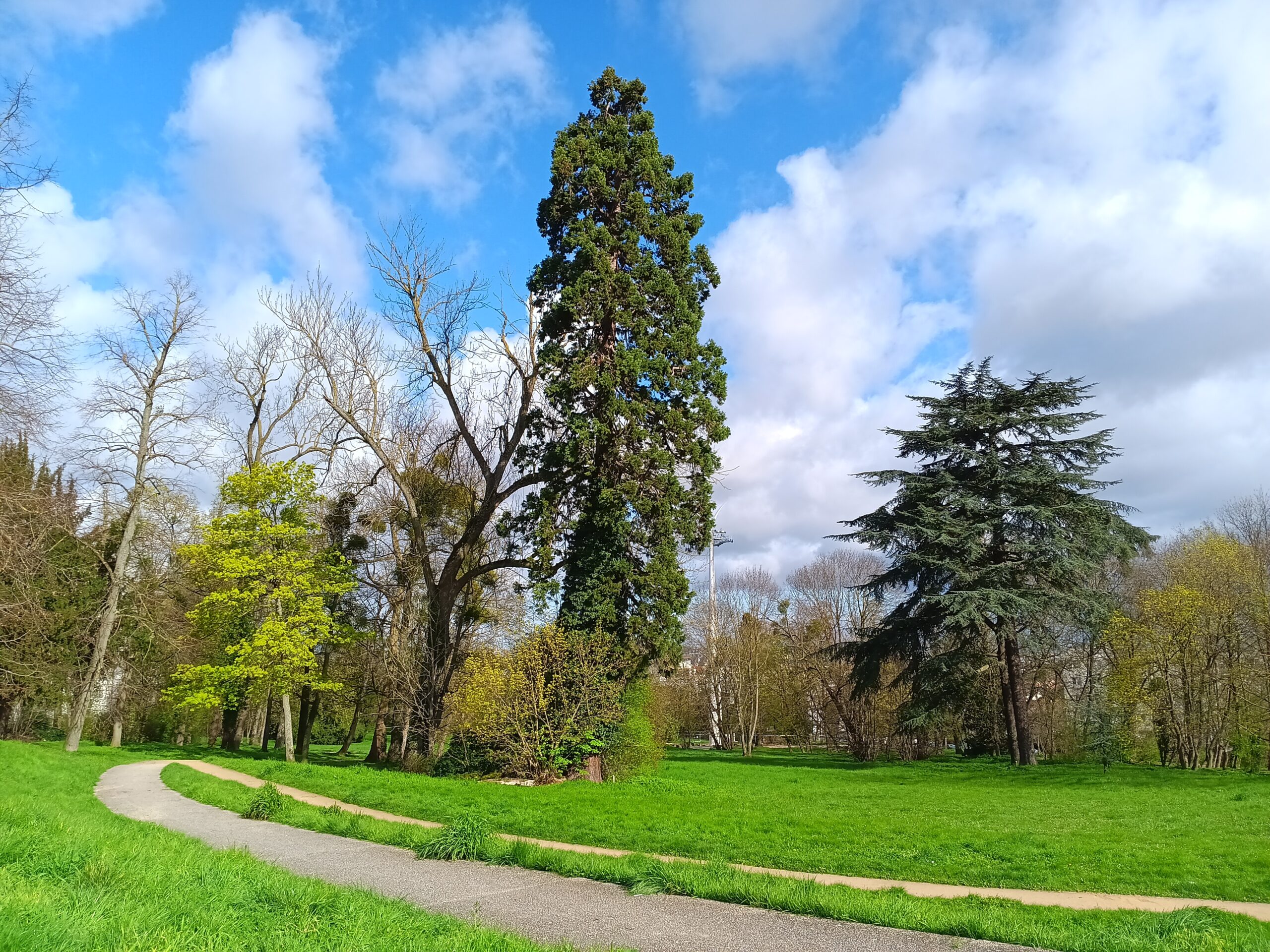 Balade sensorielle : la nature en ville pour tous !