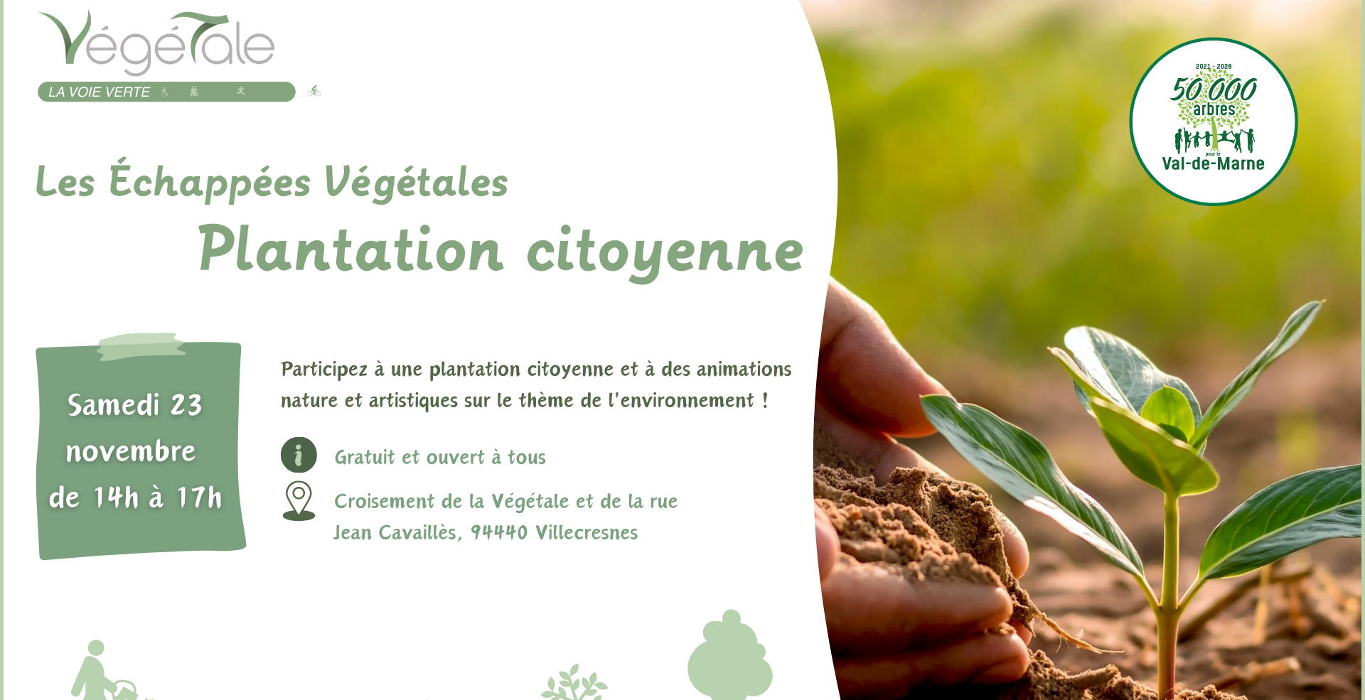 Plantation citoyenne