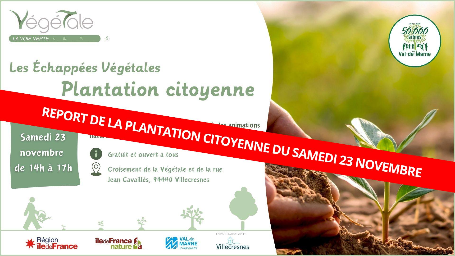 REPORT DE LA PLANTATION CITOYENNE DU 23 NOVEMBRE 2024 !