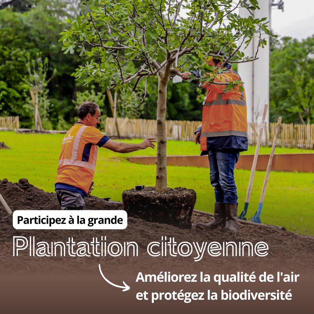 Rendez-vous ce samedi 8 mars pour la plantation citoyenne !